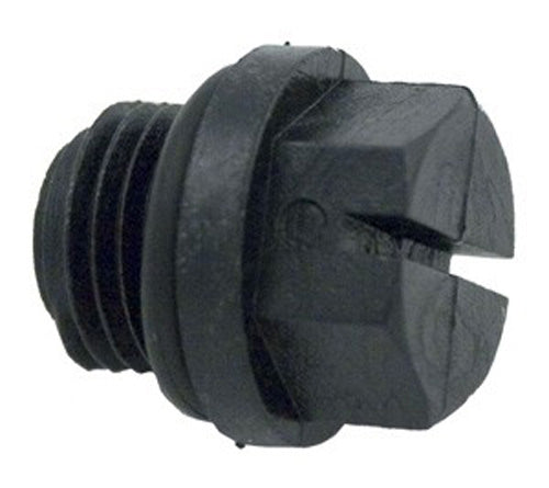 1/4" Pipe Plug w/Gasket - SPX1700FG